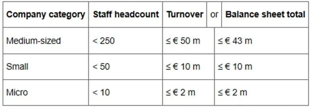 Definition of Micro, Small and Medium-Sized Enterprises in the European Union