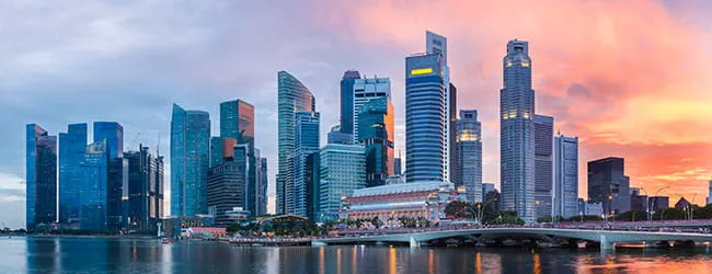 Transaction Trail Annual Report