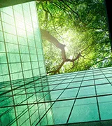 FCA Publishes Final Rules on Sustainability Disclosure Requirements and Investment Labels